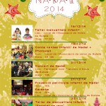 El Programa de Nadal 2014